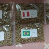 5種類の生豆